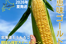 【朝採れ極甘スイートコーン】「恵味ゴールド」6本　//先行予約/2026年7月下旬より発送//