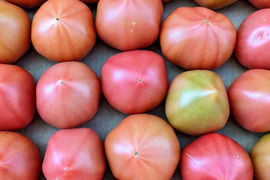 【お買い得】京都産　あふれるおいしさ潤いトマト　2kg