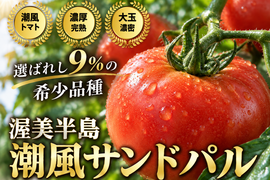 🍅市場にほとんど出回らない🍅超希少品種『潮風サンドパル』全国でもわずかな農家にしか育てられない完熟トマト🍅お試し約1㎏【冬ギフト】【朝どれ】【2月上旬予約】
