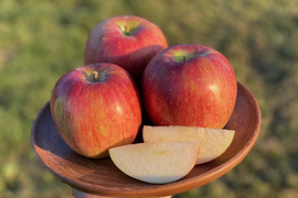 【2026年予約】『シナノスイート』家庭用  ジュワッと甘〜い人気品種！3kg