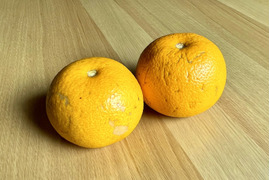 【和歌山産】はっさく 5キロ格外品 ★ほろ苦甘のクセになる美味しさ！とってもジューシー！