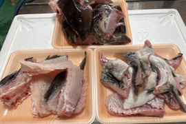 【今が旬！数量限定】　タラのあら汁用あら　(頭、カマ、ハラス)　約2ｋｇ