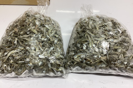 大きめふぞろいかえりですがお得になってます！！３００ｇ【すぐ発送】【おまとめ同梱OK】
小さめがいい時は普通の不揃い200gを