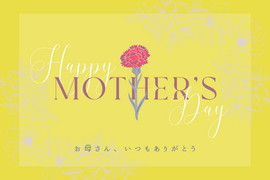 【母の日ギフト】【特別な人へ】新潟県南魚沼100％塩沢産　こしひかり     5ｋｇ　【食べチョクアワード受賞✨】
