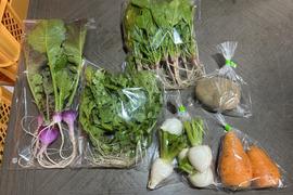 【自然栽培】6品目お試し旬のお野菜セット