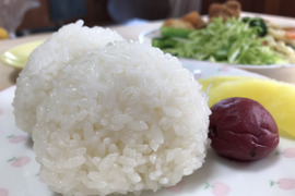 令和４年産コシヒカリ特別栽培米5㎏
栄養に気遣いながら美味しい８分づき