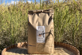 【農薬・肥料不使用】優秀金賞受賞！自然栽培米ハツシモ【5kg】【玄米】【令和7年産】