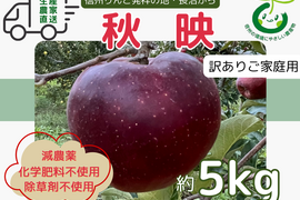 生産農家直送 りんご 秋映 訳あり 家庭用 5kg 長野県産 信州りんご発祥の地 長沼りんご 産地直送 除草剤不使用 人にやさしく環境にもやさしい農産物