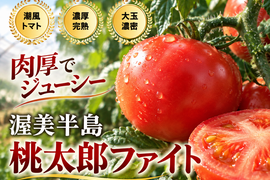 🍅美意識高い人の朝食にある🍅品種指定『桃太郎ファイト』家族の健康を支える朝のご褒美トマト☆お試キャンペーン約1kg【朝どれ】【10月下旬予約】
