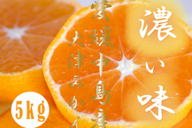 濃厚完熟　大津みかん　ご家庭用・5ｋｇ