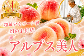 【南アルプス市限定幻品種】極上のなめらかさを誇る希少桃『アルプス美人』🍑品種指定キャンペーン🍑お試し約1.5kg【朝どれ】高級もも☆家庭用・贈り物にも贅沢お中元ギフト【7月下旬予約】