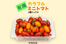 有機カラフルミニトマト【１㎏】