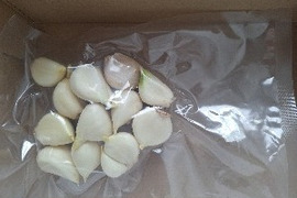格安！訳あり品!!　北海道しれとこ産　少し発芽にんにく500g～