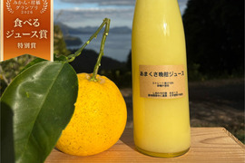 【ギフト】河内晩柑（あまくさ晩柑）ジュース　ストレート果汁100% 箱入り2本セット