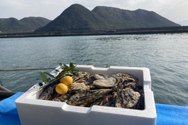 【加熱調理用】たくさん入ってます！岡山県日生産小粒殻付き牡蠣5kg