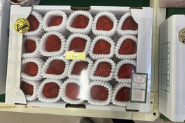 あさどり　高熟度　あまおう