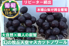 🍇人気急上昇注目度ナンバー1🍇幻の牧丘天空マスカットノワール市場でお目にかかれない超希少品種『2024年11月上旬発送』約2kg4～8房