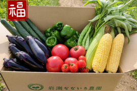 【福袋2025】標高約1,000m、信州の高原よりお届け☆旬の野菜セット7種（レギュラー）