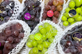 ☆ぶどう好きにオススメ☆ たっぷり6品種をお届け 岡山県産ぶどうおまかせ6種食べ比べ