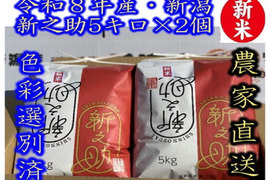 早期ご予約限定（ 通常の5％off）　新米　令和8年新潟県のお米のトップブランド　新之助（認証銘柄）　白米5kg × 2個　大粒で　粒感がありしっかりとした食感　冷めても固くなりにくい　★色彩選別済