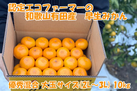 【大玉サイズ(２Ｌ・３Ｌ）・秀／優混合】≪10㎏≫和歌山有田産！早生みかん