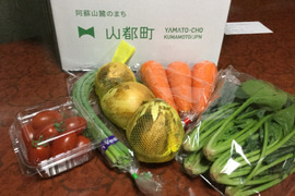 《南阿蘇夏の高原野菜　Sサイズ》