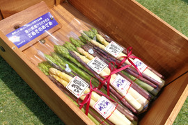 【スペシャルセット】シャキシャキ!3色アスパラ デカ、太いさぬきのめざめ1kg【緑30cm3L&2L混合600g+白200g+紫200g】