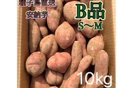 【絶品】種子島産安納芋 B品 小〜中サイズ 10kg(箱別)
