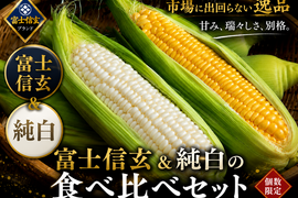 【さとふる人気急上昇ランキング1位達成】TBSラヴィット！出演話題『黄金×純白の富士信玄食べ比べセット』約1.5kg☆食のプロも唸るとうもろこし【お中元ギフト】【朝どれ】🌽7月中旬予約🌽