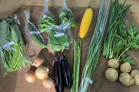 カラダ元気に❗️ 野菜セット