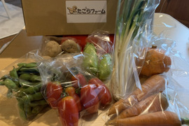 農家のごちそうミニ