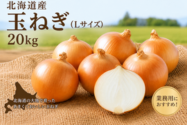 【予約販売・業務用】北海道産たまねぎ10kg×10kg｜馬糞堆肥×火山灰土でじっくり育った、甘み際立つ北海道玉ねぎ