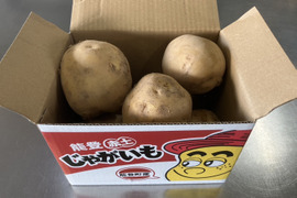 負けません能登！感謝の玉手箱！
能登町産じゃがいも（とうや1.5ｋｇ-２ｋｇ）