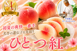 【初夏限定一番手の極早生桃】フルーツの楽園南アルプスから品種指定キャンペーン登場🍑『ひとつ紅』お試し特価キャンペーン約1.5kg【朝どれ】高級もも☆家庭用・贈り物にも贅沢お中元ギフト【6月下旬予約】
