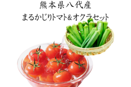 熊本県八代産まるかじりトマト３ｋｇ ＆ オクラ５０本セット