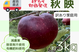 もぎたて 即日発送 りんご 秋映 訳あり 家庭用 3kg 長野県産 信州りんご発祥の地 産地直送 除草剤不使用 人にやさしく環境にもやさしい