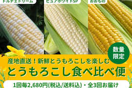 【限定300セット】とうもろこし食べ比べ便※送料込※（食べチョク公式）