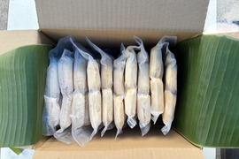 【特別価格】完熟カット冷凍アップルバナナ 5kg