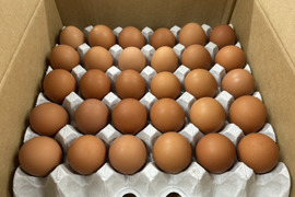 訳あり平飼い卵30個(たまごトレー)