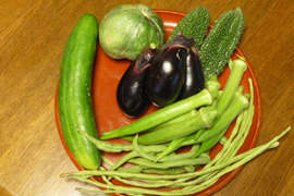 【野菜セット】今が旬！　夏秋の露地野菜　３品以上