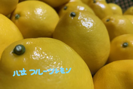 Lサイズ　八丈島レモン　
化学農薬・化学肥料、防腐剤不使用、
東京GAP取得！　4個