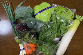 絶品！とくうま秋冬野菜１０〜１２品セット＜１１月発送分＞