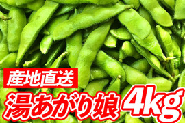 風味豊かな枝豆！宮崎県産『湯あがり娘4kg』200g×20袋