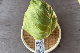 【朝どれ】柔らかパリパリ食感！みさきキャベツ１玉 約500g