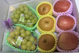 お買い得!まるせい果樹園の秋の味覚セット　フルーツボックス　３ｋ箱　oｍa1