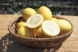 【片浦産】ほのかな甘みと強い香りが特徴！国産レモン(10kg)