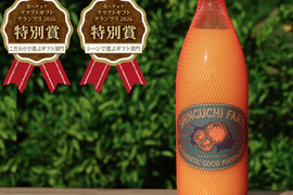 【ギフトGP2026ダブル受賞】PREMIUMみかんジュース（1000ml×2本）【父の日ギフト】100％ストレート