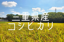 コメドックアワード ゴールド受賞 コシヒカリ令和6年産 三重県産 コシヒカリ 精米(玄米) 5kg