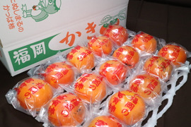 【ご家庭用（少々キズあり）】冷蔵柿（富有柿）15～16個入り　福岡県久留米市田主丸町産