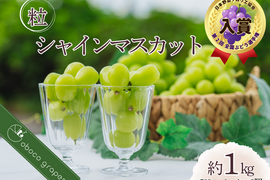 【粒売り】香り華やか贅沢『シャインマスカット』（２パック・合計約１kg）